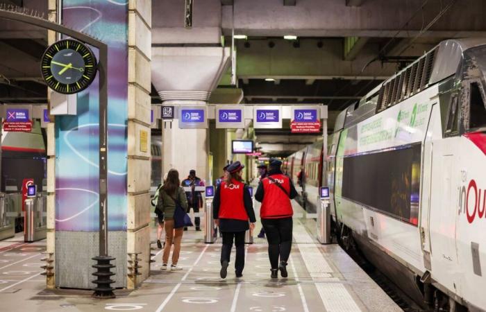 SNCF released for death of Neko, cat crushed by train