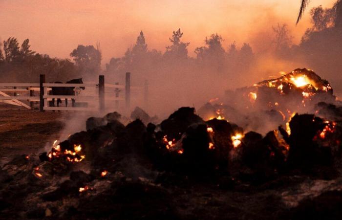 In California, firefighters are still battling a destructive blaze near Los Angeles