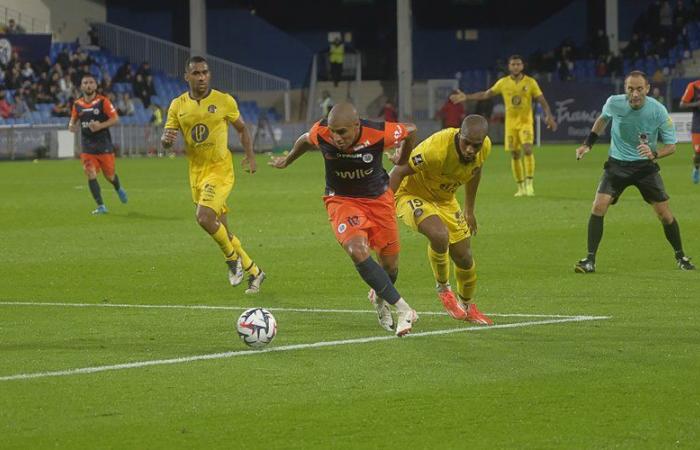 MHSC – Brest: the three good reasons to follow the match between Montpellier and Brest residents