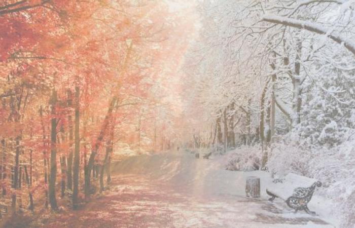 Odd weather terms you may hear in the fall and winter