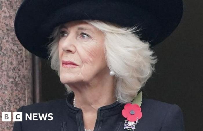 Queen to miss Remembrance events after chest infection