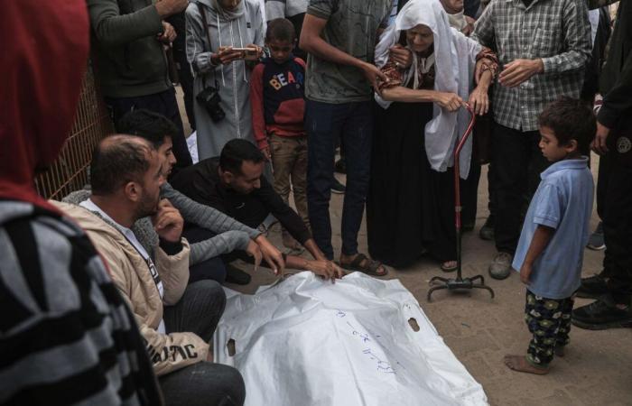 Fourteen dead in two Israeli strikes on Gaza