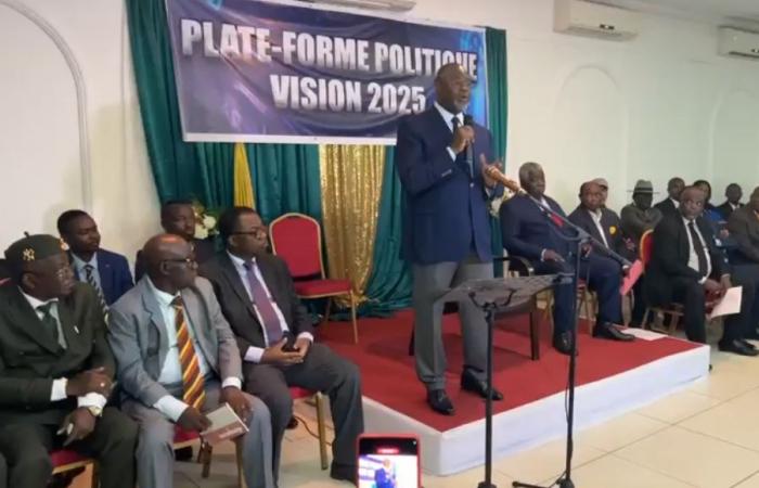 Yes or No to the referendum: members of Vision 2025 invited to choose | Gabonreview.com