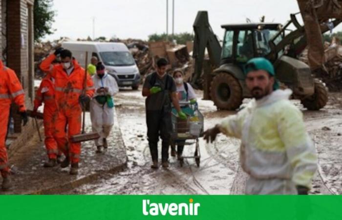 Proliferation of mosquitoes, rotten meat… In Spain, floods bring nauseating odors and health concerns