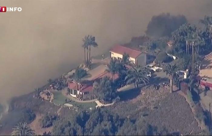 “We just left with what we had on our backs”: fire devastates hundreds of buildings near Los Angeles