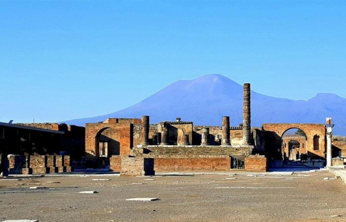 DNA from victims of Pompeii eruption reveals unexpected information