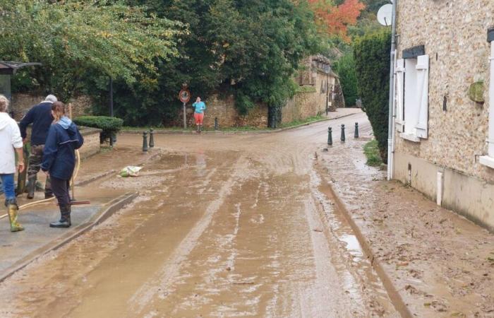 Floods in Yvelines and Essonne: 61 new municipalities recognized as being in a state of natural disaster