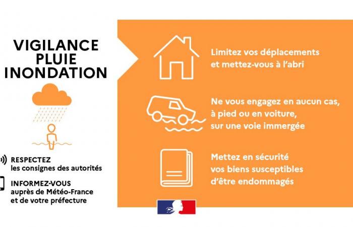 Orange vigilance “rain floods” and “thunderstorms” from 9/11 at 2 p.m. to 10/11 at 6 a.m. – Weather vigilance – Natural risks – Risk prevention – Ecological transition, environment and risk prevention – State actions