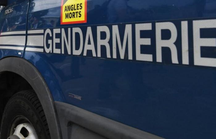 Loiret. Man with stab wounds found dead, son injured