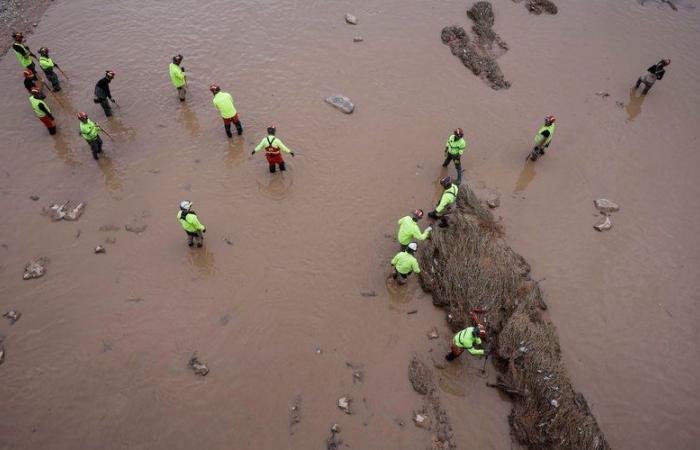 Floods in Spain: smells of rotten eggs accompanied by a proliferation of mosquitoes worsen the health risk in Valencia