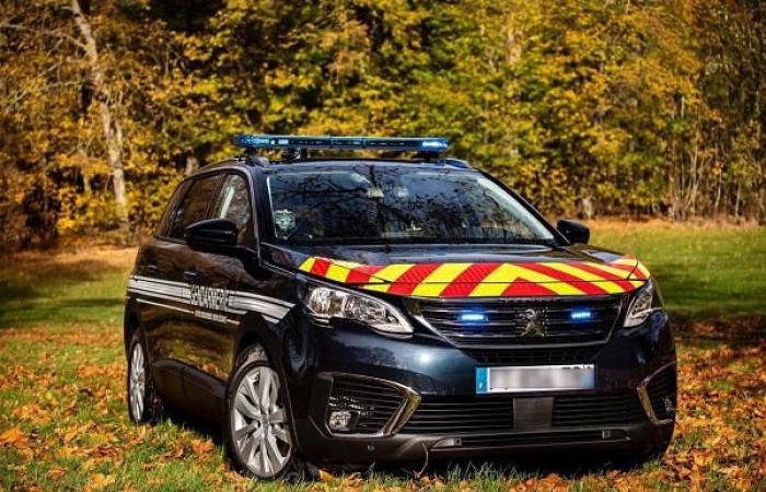 The ecological penalty “burdens” the Gendarmerie budget dedicated to the purchase of new vehicles