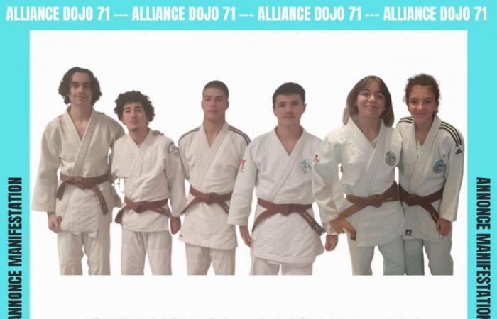 JUDO: The Cadets of the Alliance Dojo 71 in a tournament in Riorges