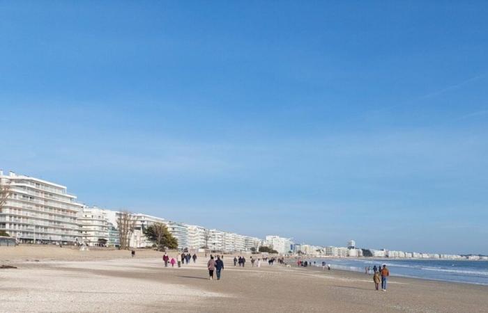 “All I need”, these retirees who leave Paris for this seaside resort in Loire-Atlantique