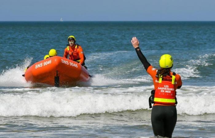 sea ​​lifeguards interested in monitoring more and more beaches