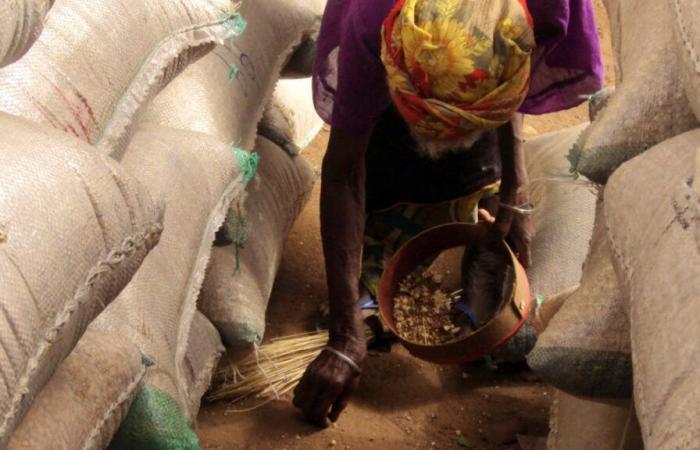 More than 33 million Nigerians will be hungry in 2025