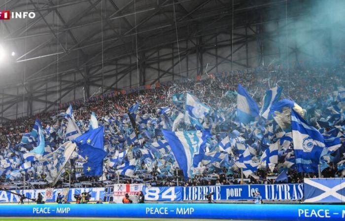 OM – Auxerre: journalist Ambre Godillon hit in the face by a projectile