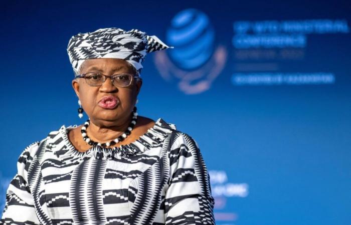 OMC: Nigerian Okonjo-Iweala the only candidate for succession