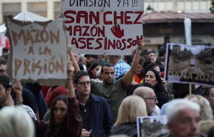 a demonstration organized in Valencia against the inaction of the authorities