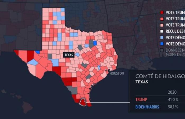 American presidential election | Where have Trump and Harris made the most gains?