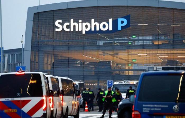 Attacks in Amsterdam: Israeli supporters evacuated on Saturday aboard special flights to Tel Aviv