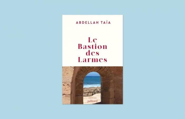 A boy like no other: review of “Bastion of Tears”, by Abdellah Taïa