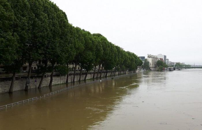 Paris town hall will raise awareness among residents of the risk of flooding in the event of a flood of the Seine