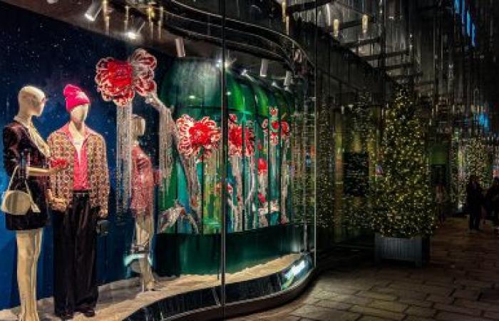 The 2024 Christmas windows of La Samaritaine: Thoiry Lumières Sauvages invades the store – photos