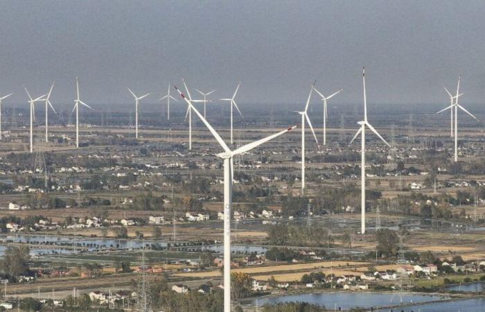 China adopts energy law to 'promote carbon neutrality'