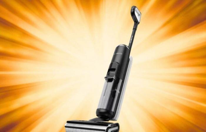 opt for this vacuum cleaner at a reduced price during Black November Cdiscount