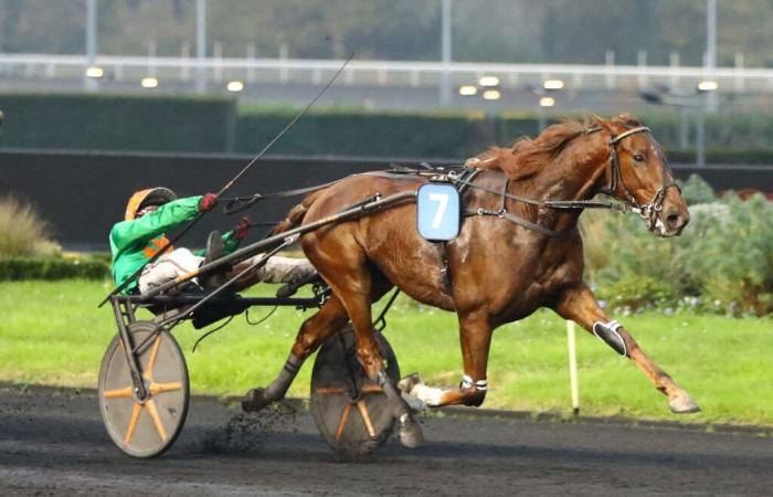 Saturday November 9, 2024 at Paris-Vincennes