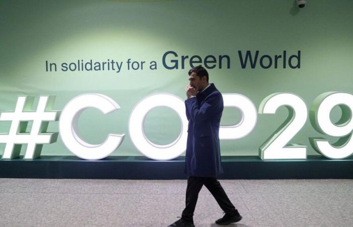 A “betrayal”: an NGO traps the director general of COP29 touting agreements on fossil fuels