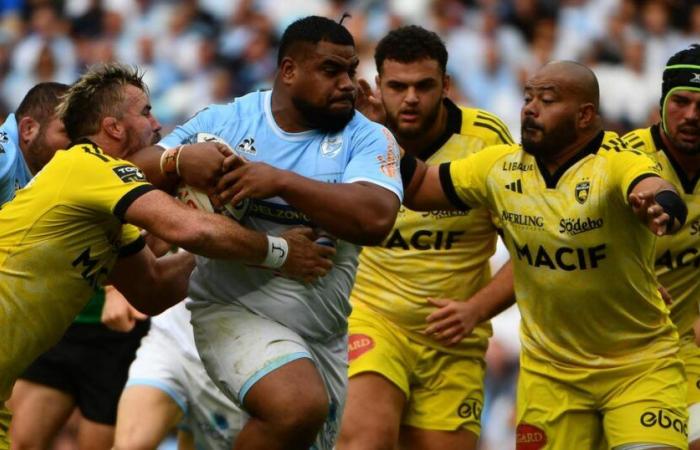 Tonga, weight loss, namesake… 5 things to know about Tevita Tatafu, new attraction of the French XV