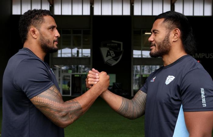 Rugby. Tuilagi and Habel-Küffner, the Samoans of Aviron Bayonnais, decipher their tattoos for “Raffut”