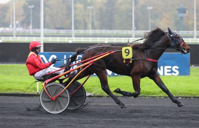 Lovely du Vallon wins with Mathieu Mottier in Vincennes