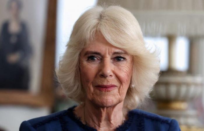 Queen Camilla Will Miss Remembrance Events Due to an Infection