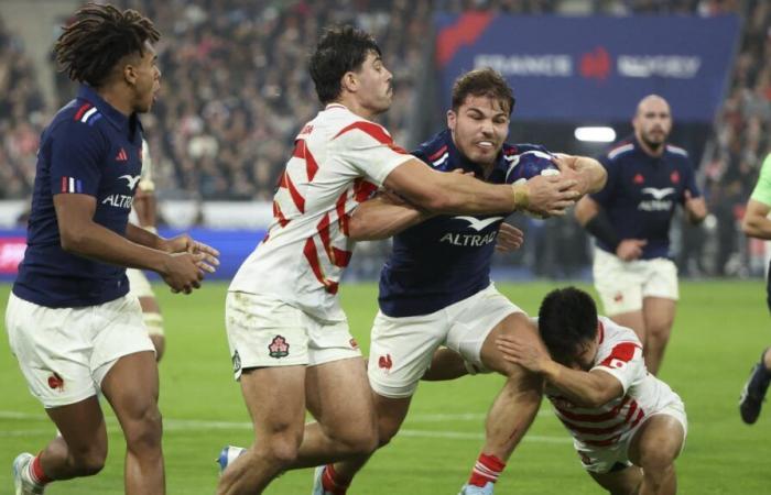 Japan swept away, place for the All Blacks