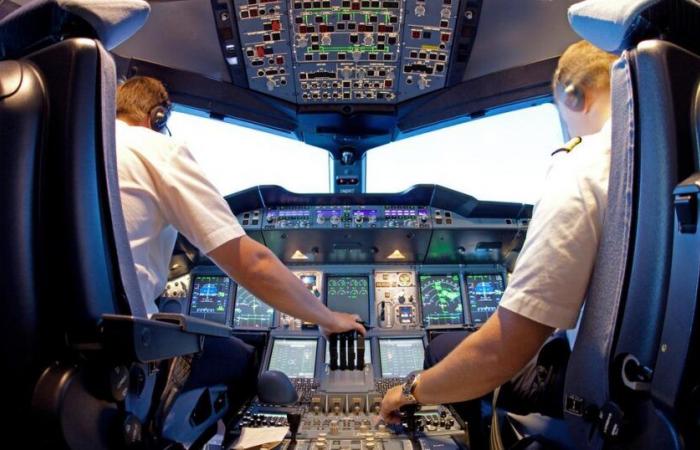 Airline pilots union calls for strike against air transport taxation