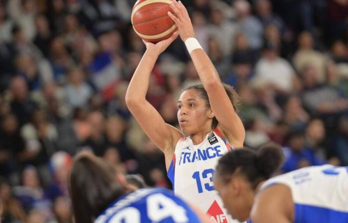 DIRECT. Latvia – France: follow the Euro 2025 qualifying match for Les Bleues du basketball