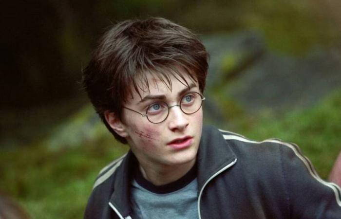 The Harry Potter series will be linked to Hogwarts Legacy 2. You really shouldn’t miss this adaptation!