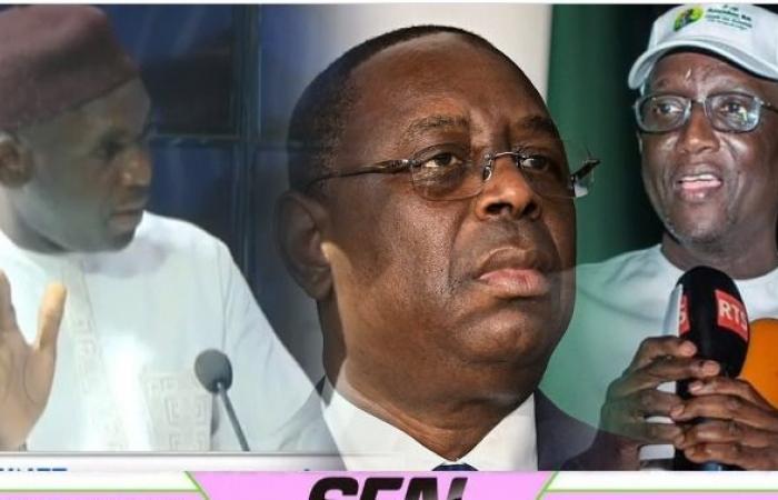 Never before seen, Adama Faye finally reveals the real problem between Amadou Ba and Macky Sall. Look!