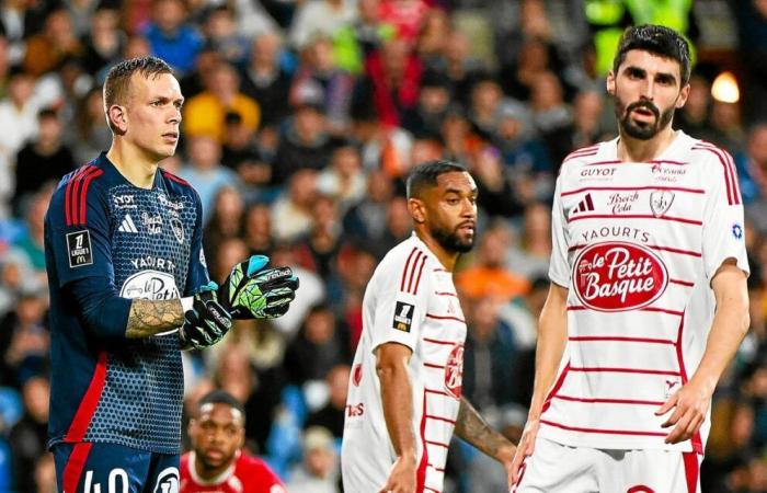 Montpellier – Brest: when Stade Brestois is behind, Stade Brestois does not win