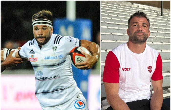 News Rugby found Arnaud Mignardi