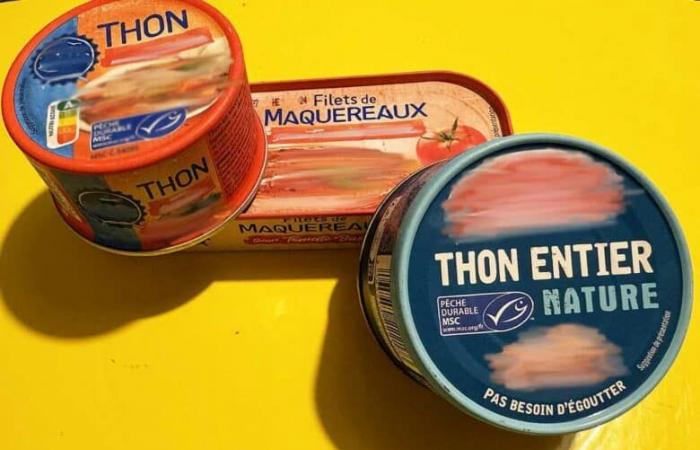 Poison in tuna, “a major public health problem”, according to these associations