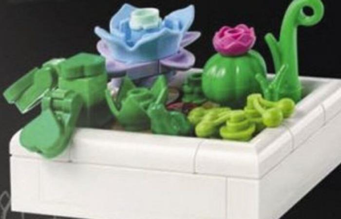 LEGO Botanical Collection book release dates and prices revealed