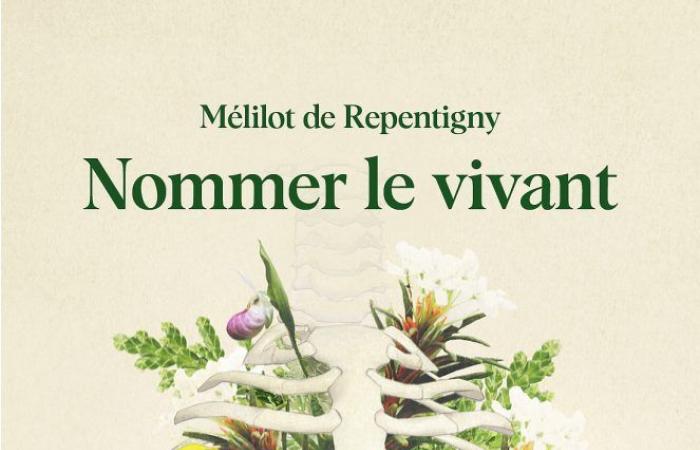 Mélilot de Repentigny wins the 2024 Jovette-Bernier prize