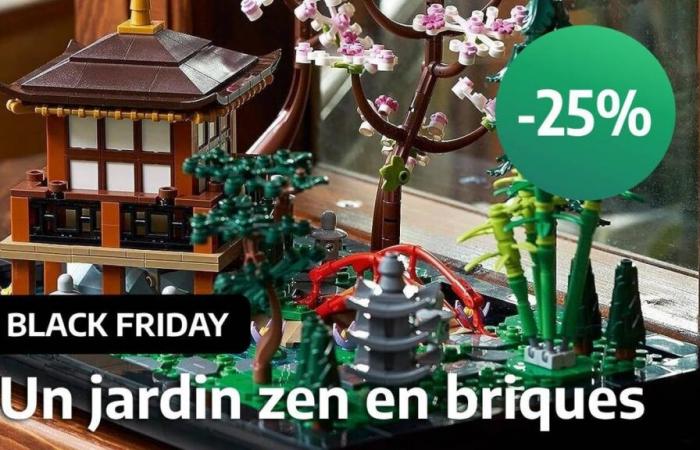 Black Friday drops the price by 25% of LEGO The Peaceful Garden, one of the best sets for adults to offer for Christmas