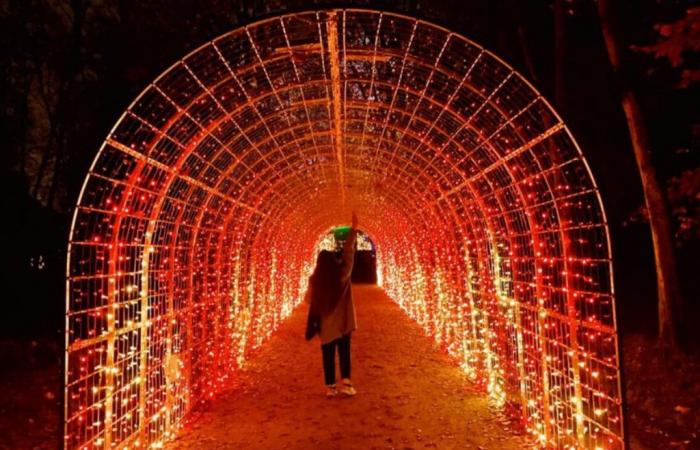 The Saint-Cloud estate is dressed in lights for a dazzling new festival