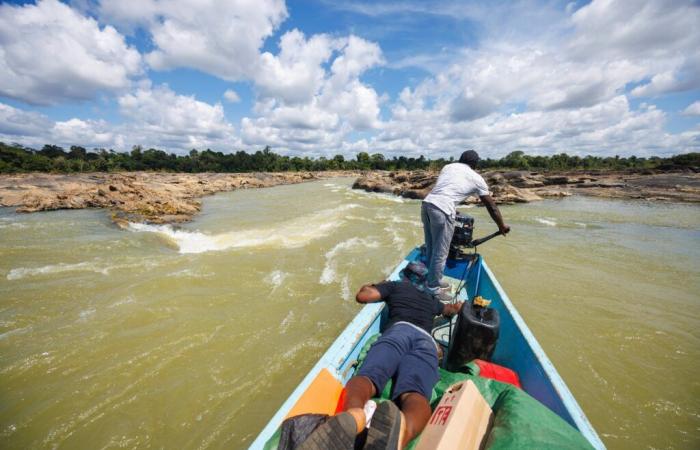 In Guyana, an exceptional drought disrupts daily life on the rivers