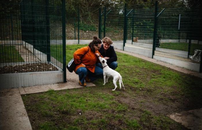 larger, more modern, more ecological… a new generation shelter opens to the public in Gennevilliers