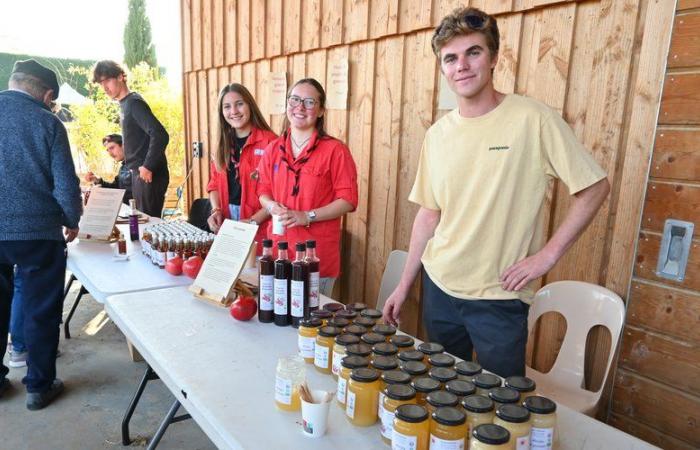 “The Rhone Gard area is conducive to pomegranate cultivation”, celebrated at the Grenattitude estate in Bagnols-sur-Cèze